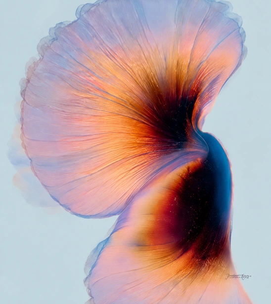 Abstract iridescent fan-shaped artwork
